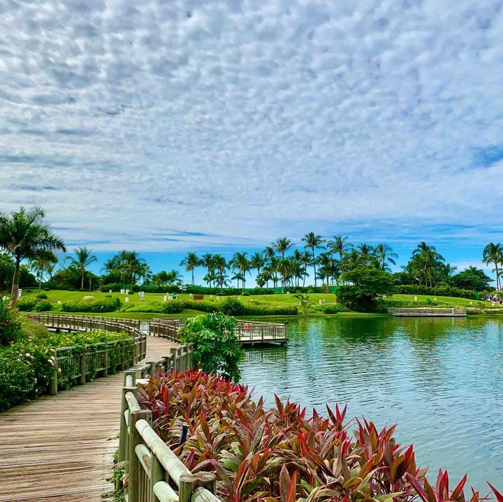 PARADISE