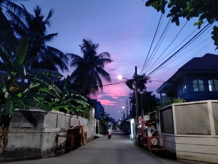 Purple Feelings