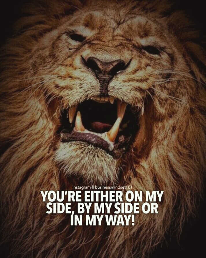 Roar