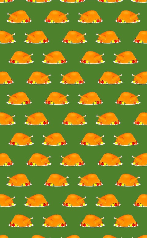 Thanksgiving Turkey