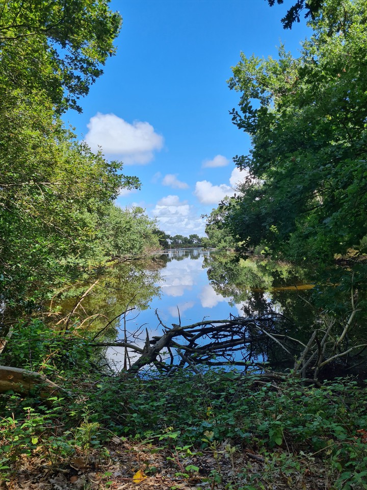 Natural reserve
