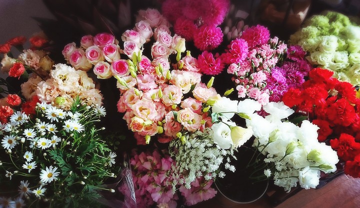 flowers/花