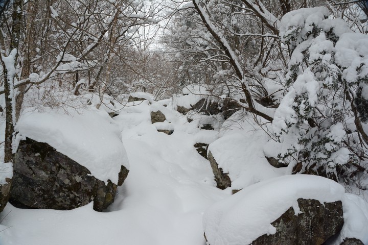 태백산이미지