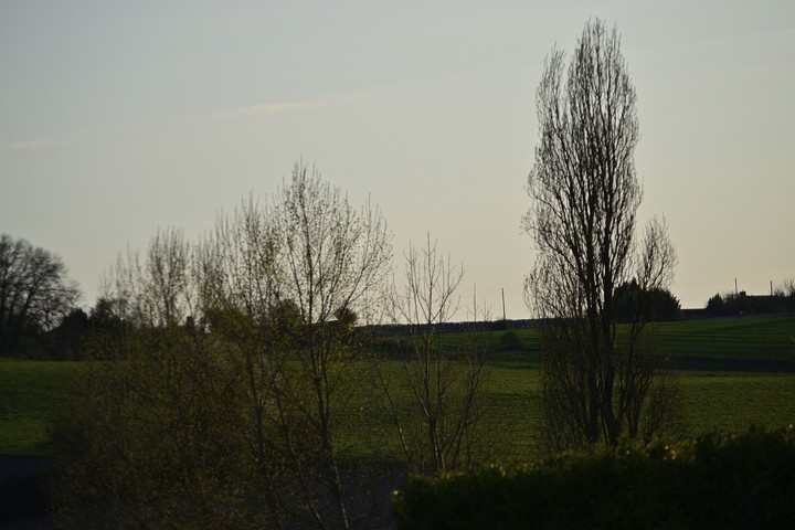 nature