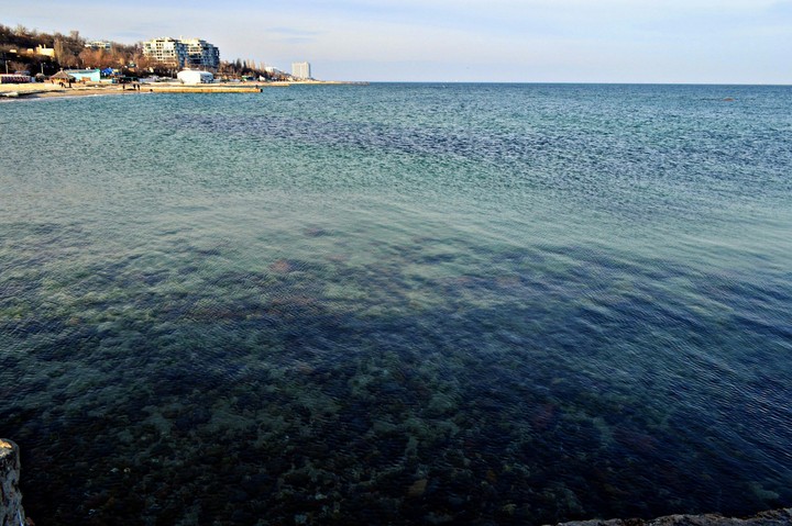 Odessa