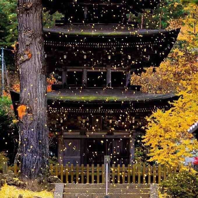 pagoda