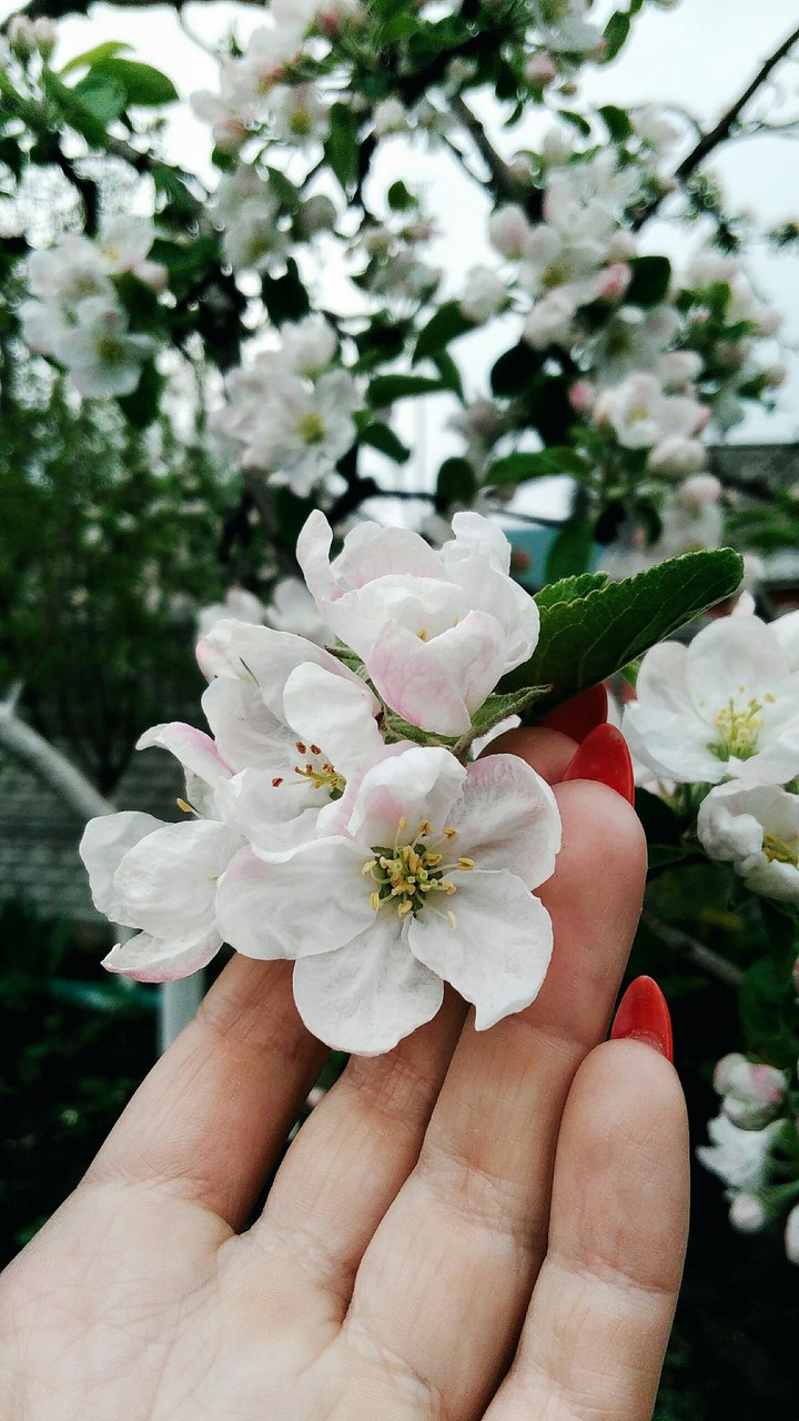 april #2