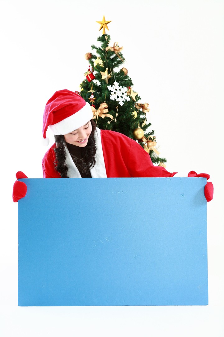 Christmas Costume