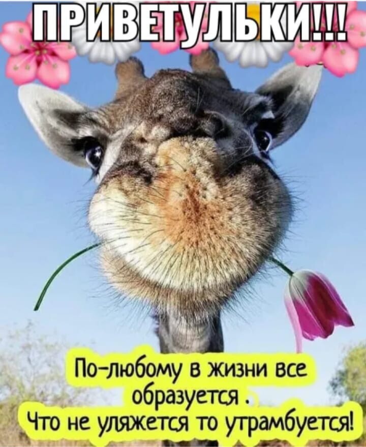 улыбнитесь!