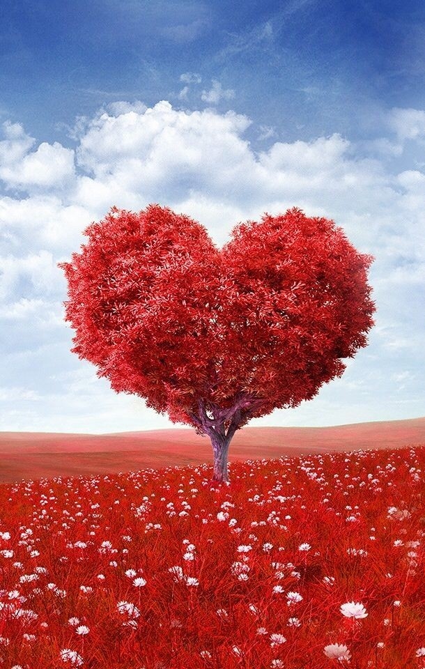 ❤️