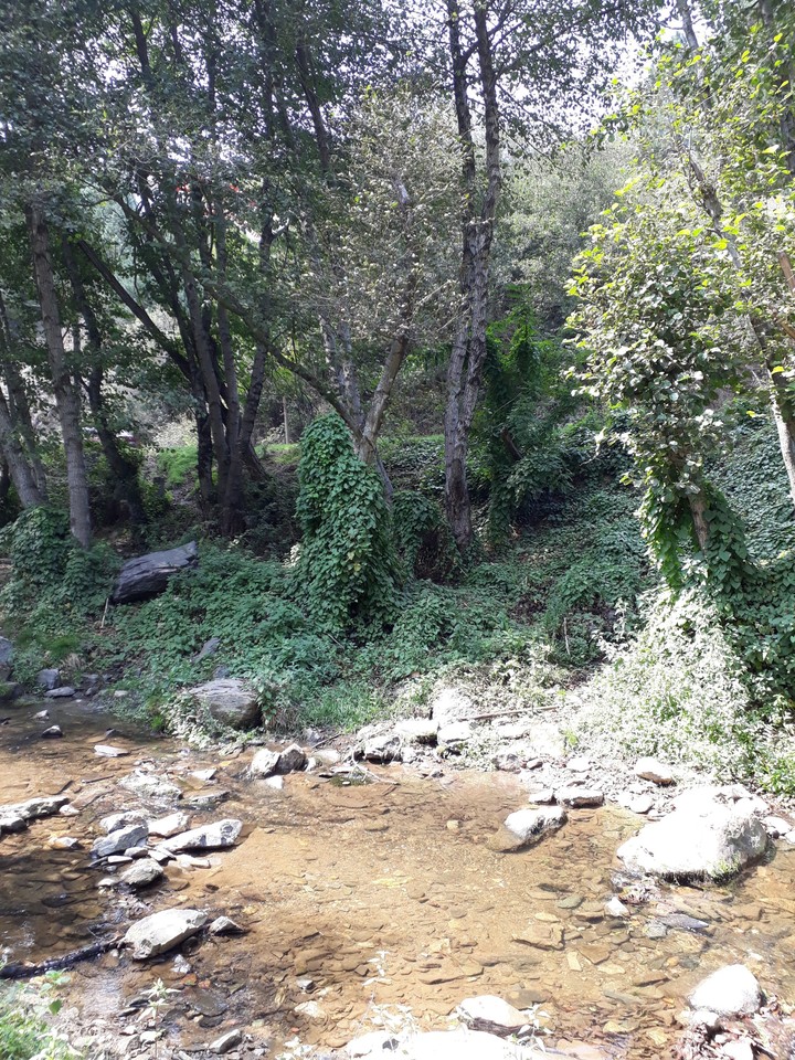 Nature