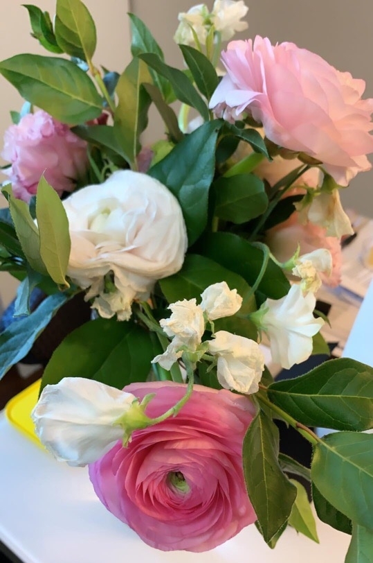 Ranunculus