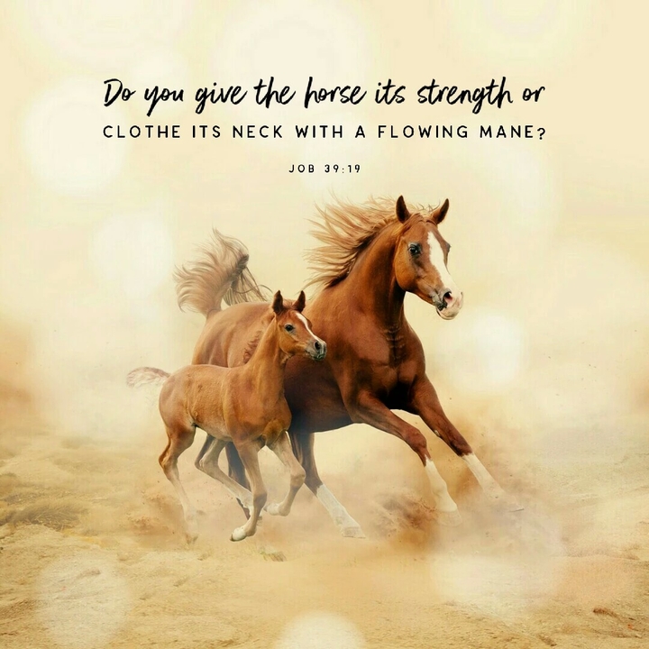 Encouragement