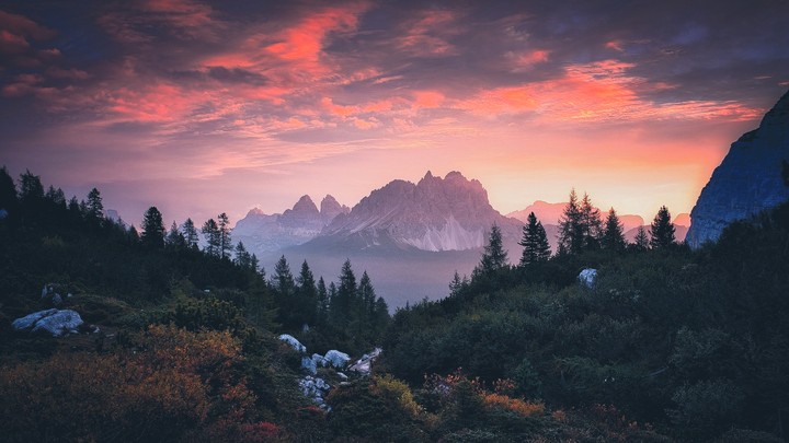 nature