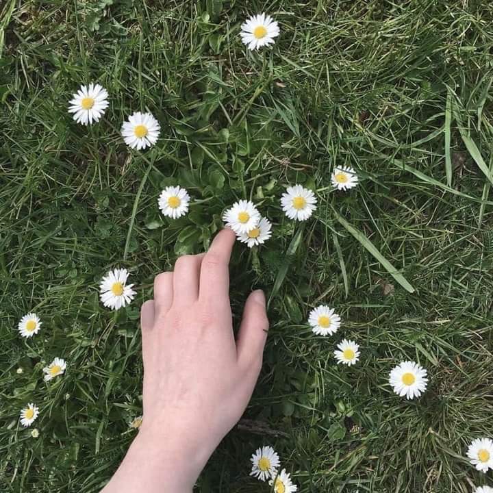 ღ✿◠‿◠✿ღ