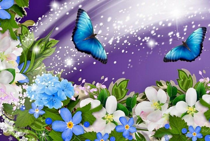 Butterfly