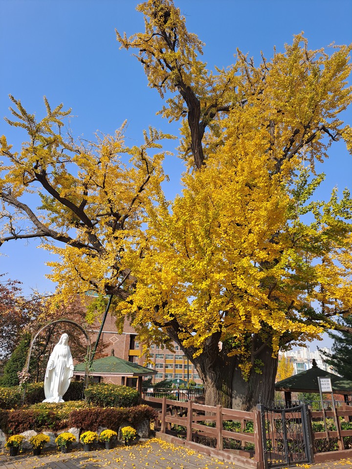 성당