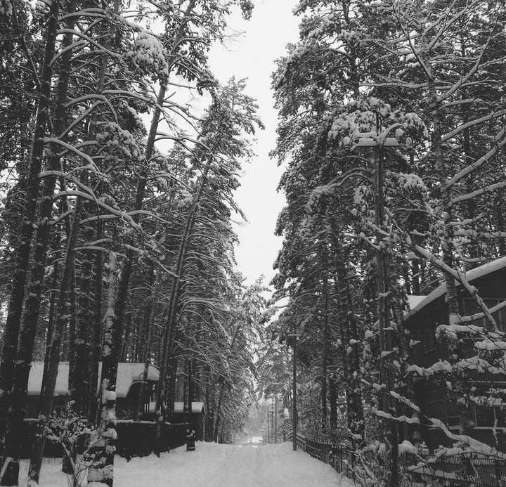 winter is coming