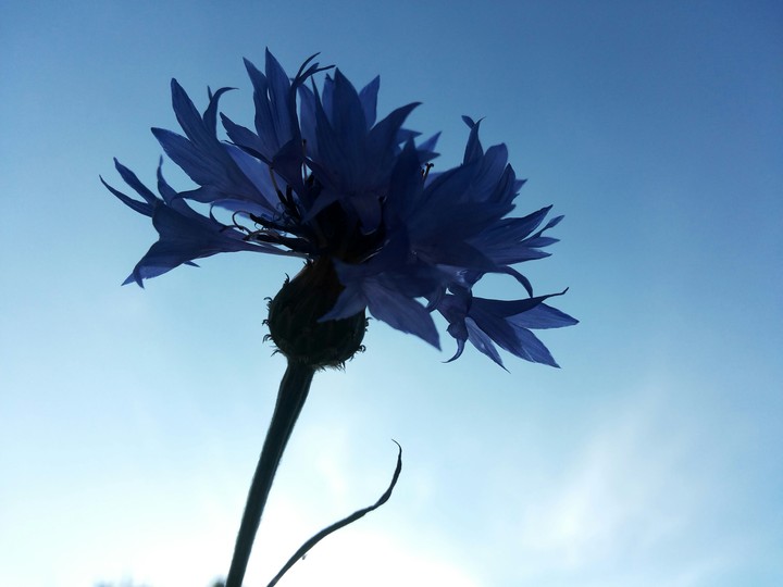 Shades of blue