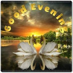 Good evening