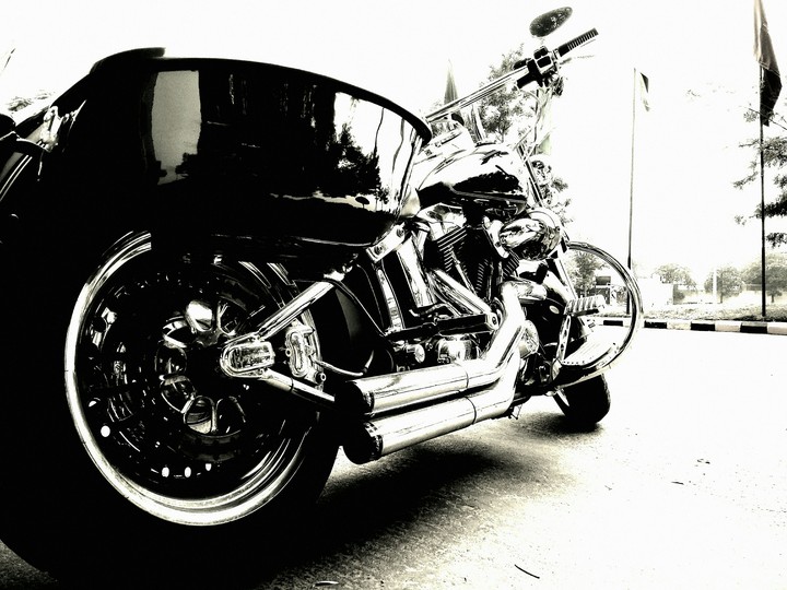 Harley❤
