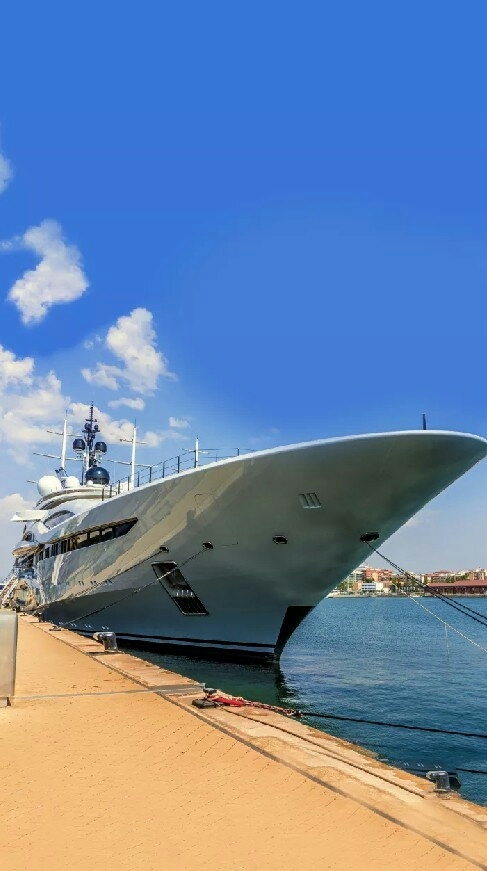 The Cruise