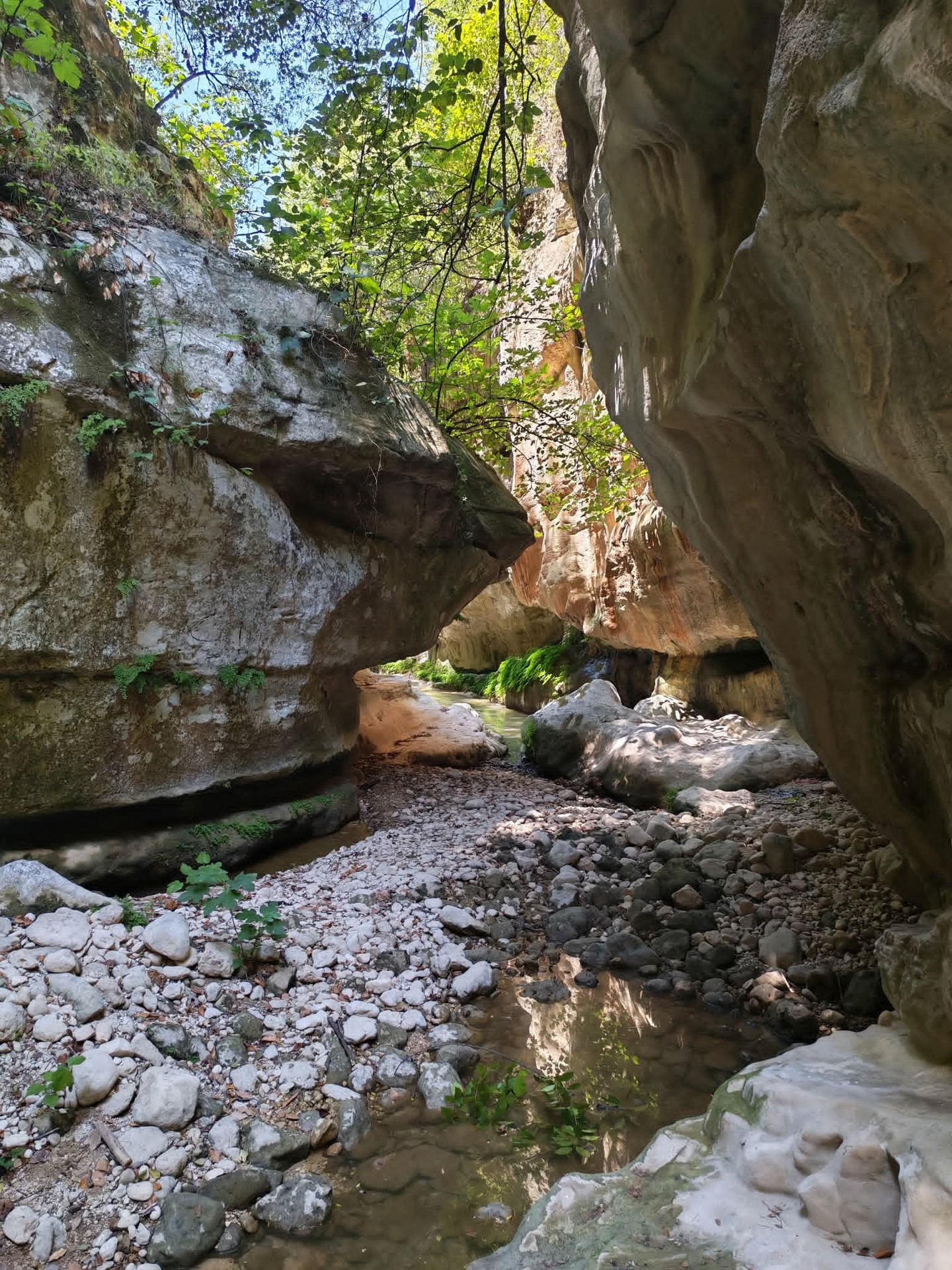 sfondi bedrock, Wilderness