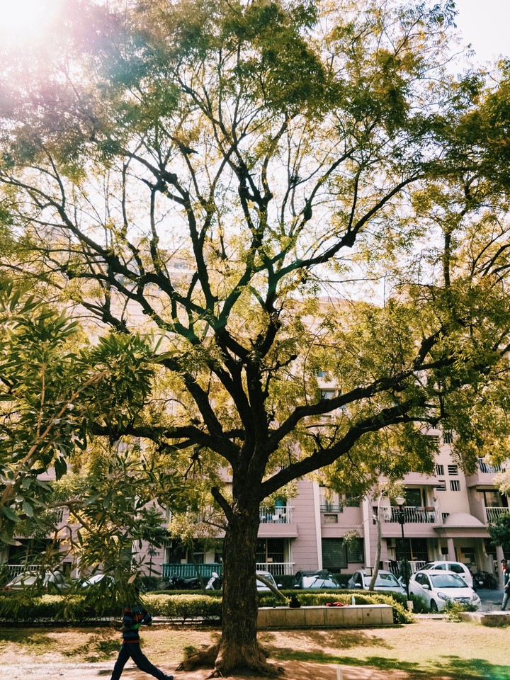 nature love
