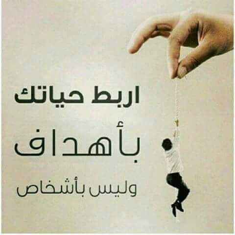 ،