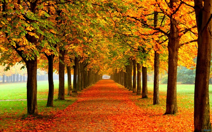 Hello Autumn