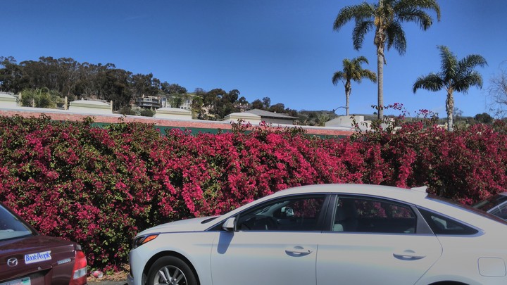 Ventura