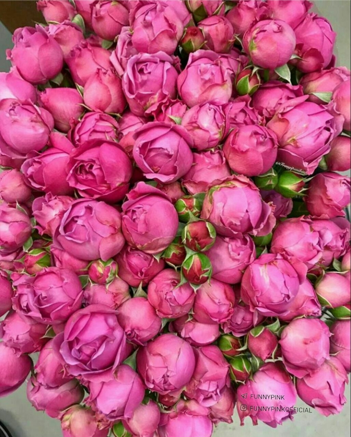 for u!