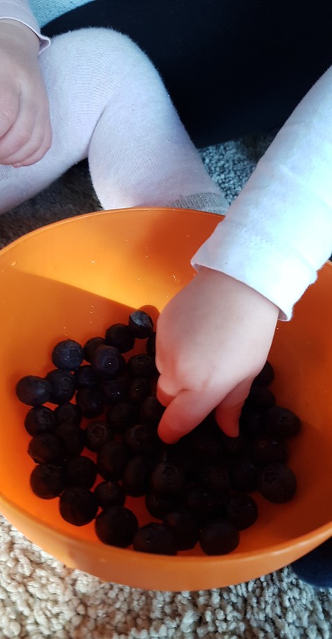 blueberries