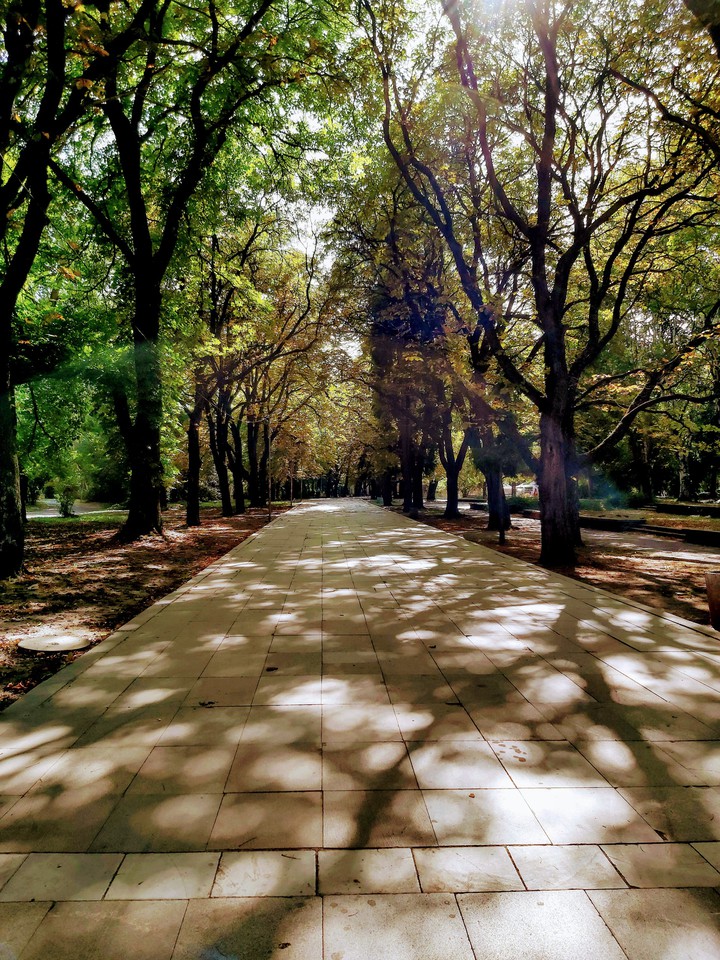 autumn