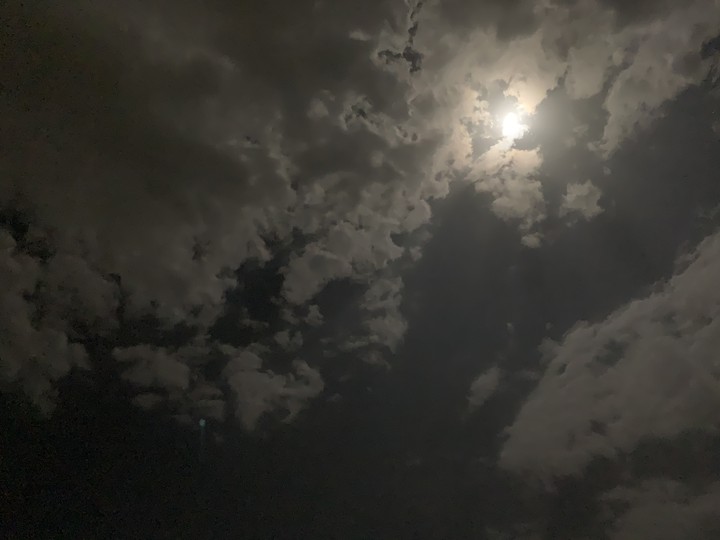 Night Sky