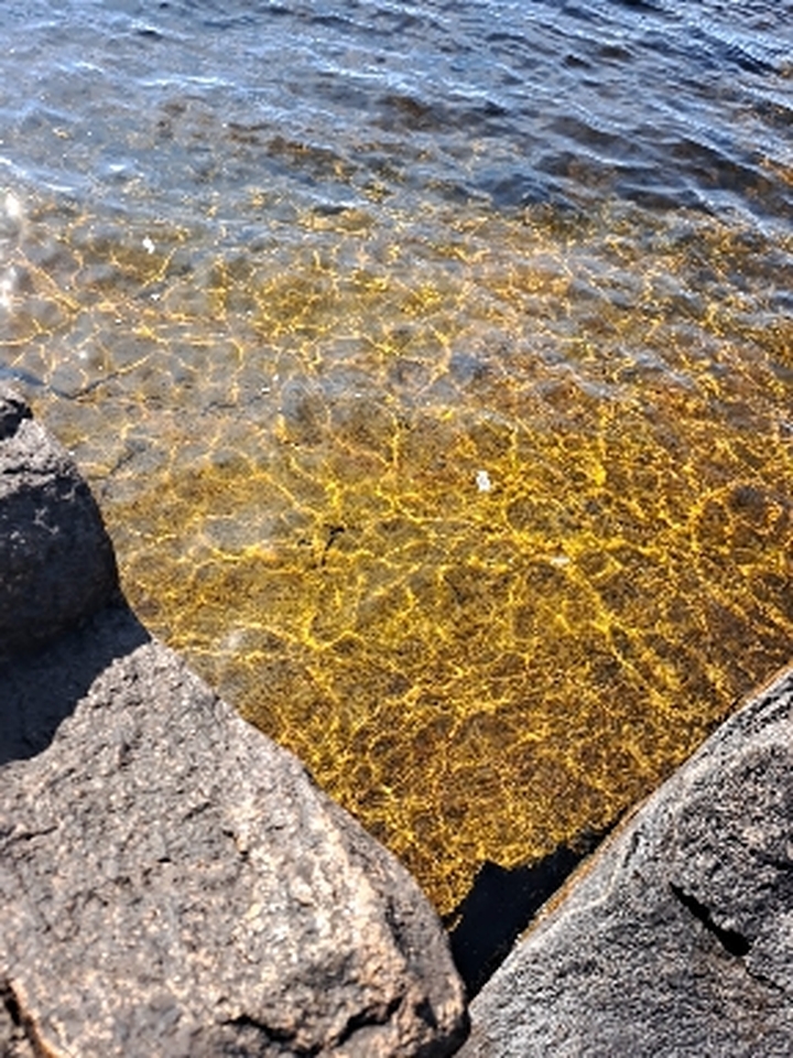 Water beauty
