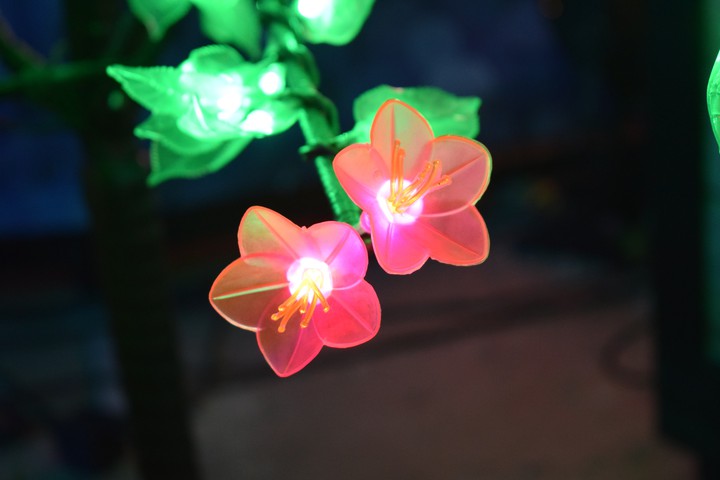 Lighted flower