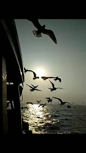 it's beautiful to watch it live