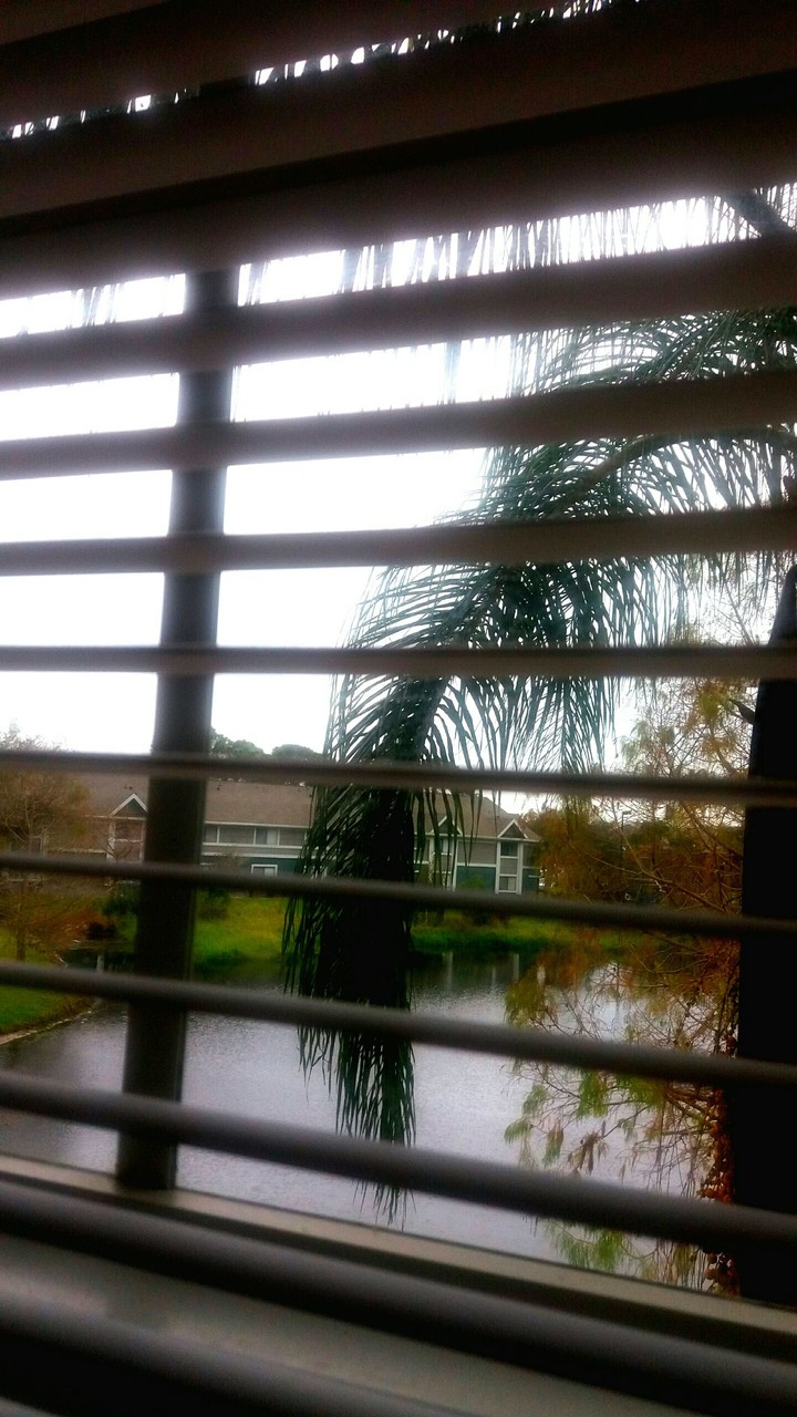 View From My Window 2