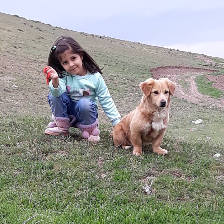 پارمیس خاهرزاده ام