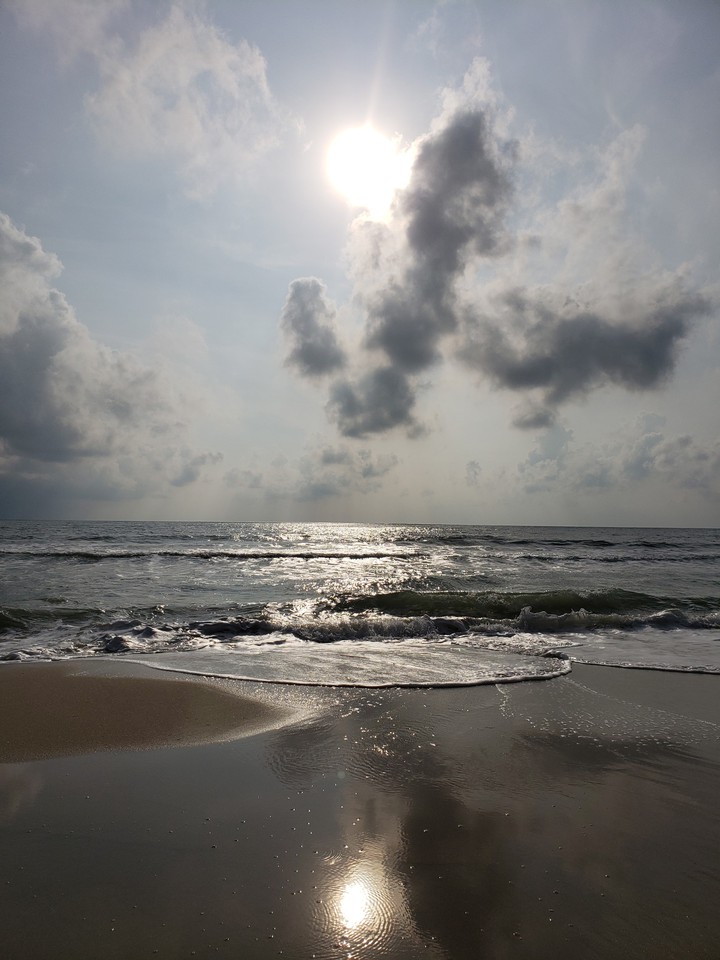 paradise