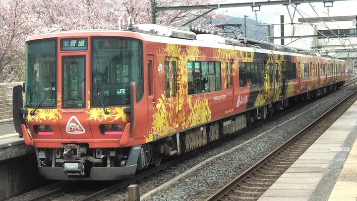 train