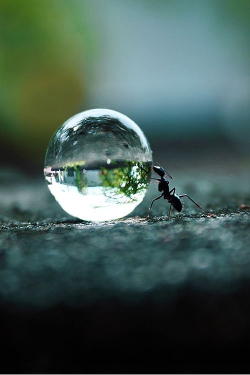 playing with water