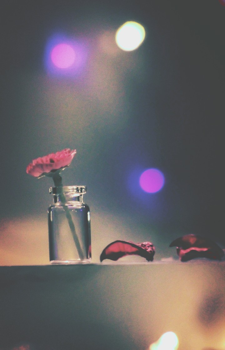 flower story