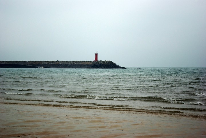 Environment