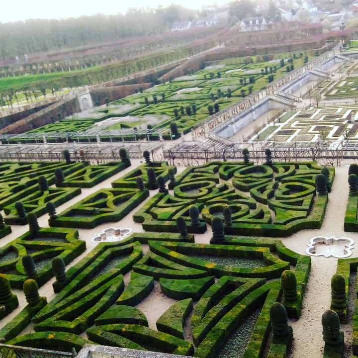 french garden in Vilandry