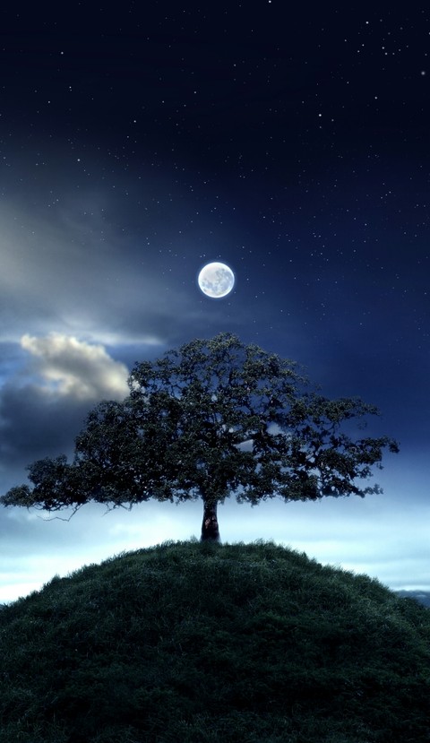 Night