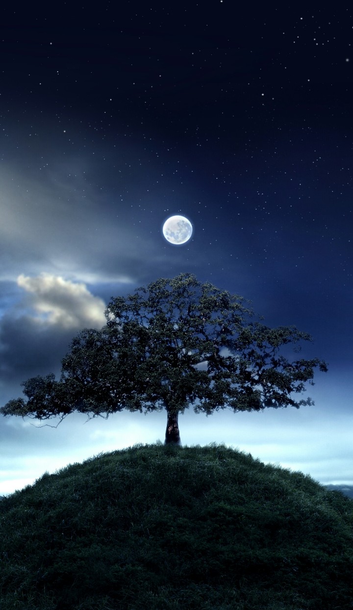 Night