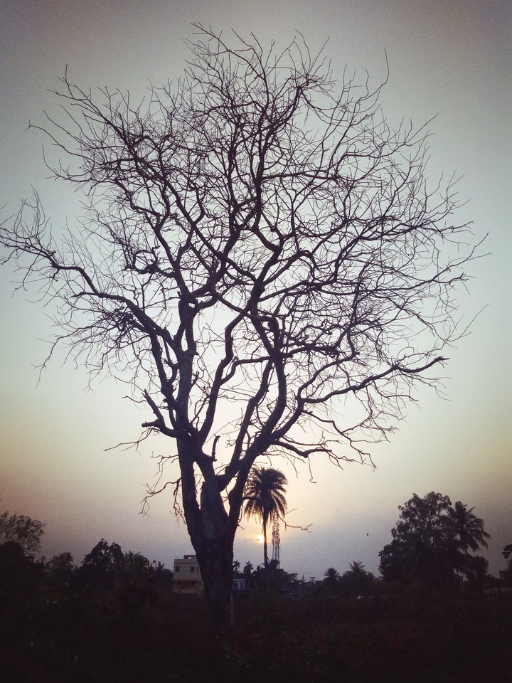 On evening