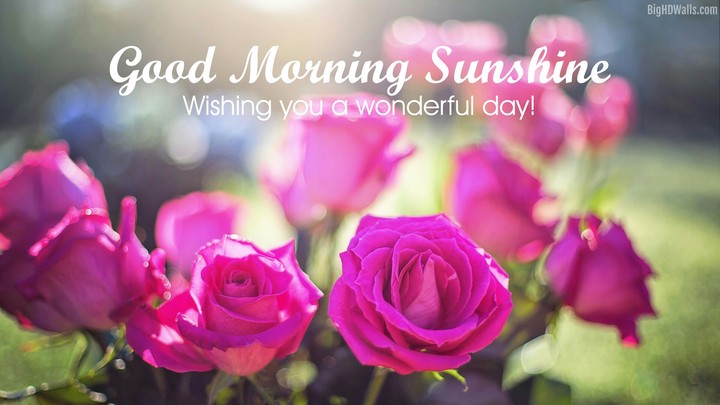 good morning